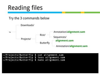 Reading files
Try the 3 commands below
Downloads/

~

Annotation/alignment.sam
Rice/
Projects/
Butterfly

Sequences/
alignment.sam
Annotation/alignment.sam

~/Projects/Butterfly $ cat alignment.sam
~/Projects/Butterfly $ less alignment.sam
~/Projects/Butterfly $ nano alignment.sam

 