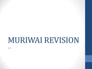 MURIWAI REVISION
3.1

 