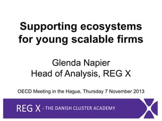 Supporting ecosystems
for young scalable firms
Glenda Napier
Head of Analysis, REG X
OECD Meeting in the Hague, Thursday 7 November 2013

 