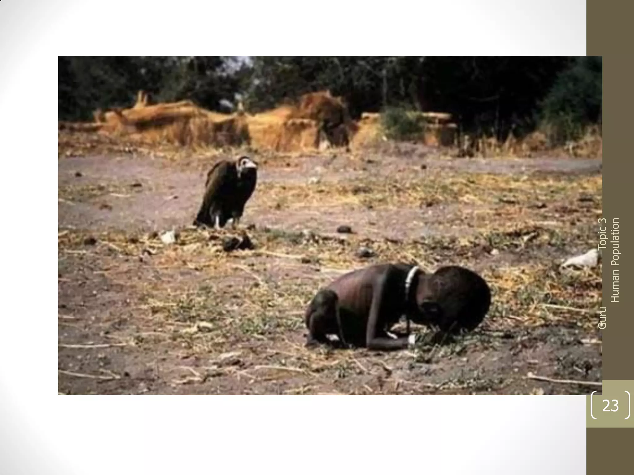 23

Guru

Topic 3
Human Population

 