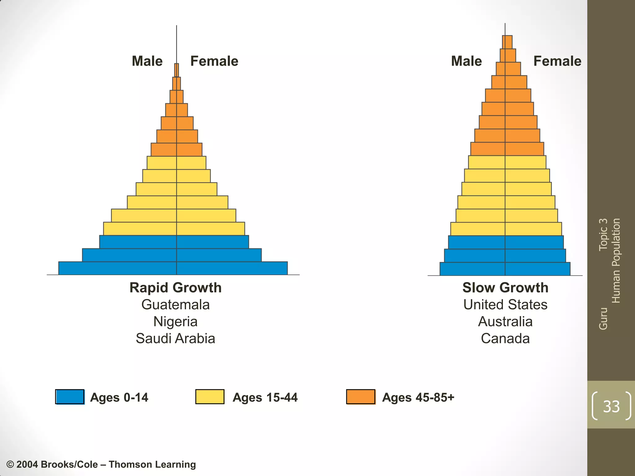 Male

Rapid Growth
Guatemala
Nigeria
Saudi Arabia

Ages 0-14

© 2004 Brooks/Cole – Thomson Learning

Female

Slow Growth
United States
Australia
Canada

Ages 15-44

Ages 45-85+

Topic 3
Human Population

Female

Guru

Male

33

 
