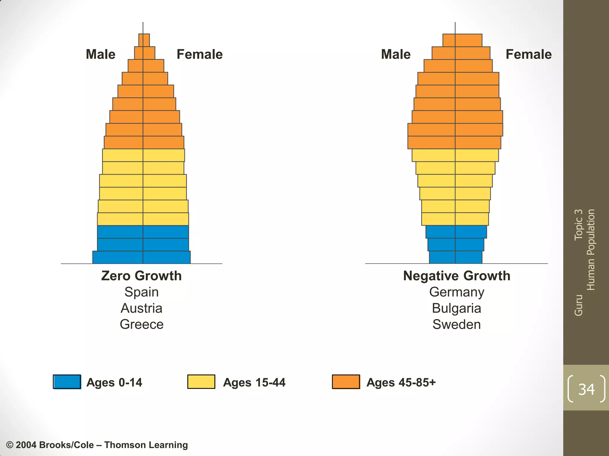 Male

Zero Growth
Spain
Austria
Greece

Ages 0-14

© 2004 Brooks/Cole – Thomson Learning

Female

Negative Growth
Germany
Bulgaria
Sweden

Ages 15-44

Ages 45-85+

Topic 3
Human Population

Female

Guru

Male

34

 