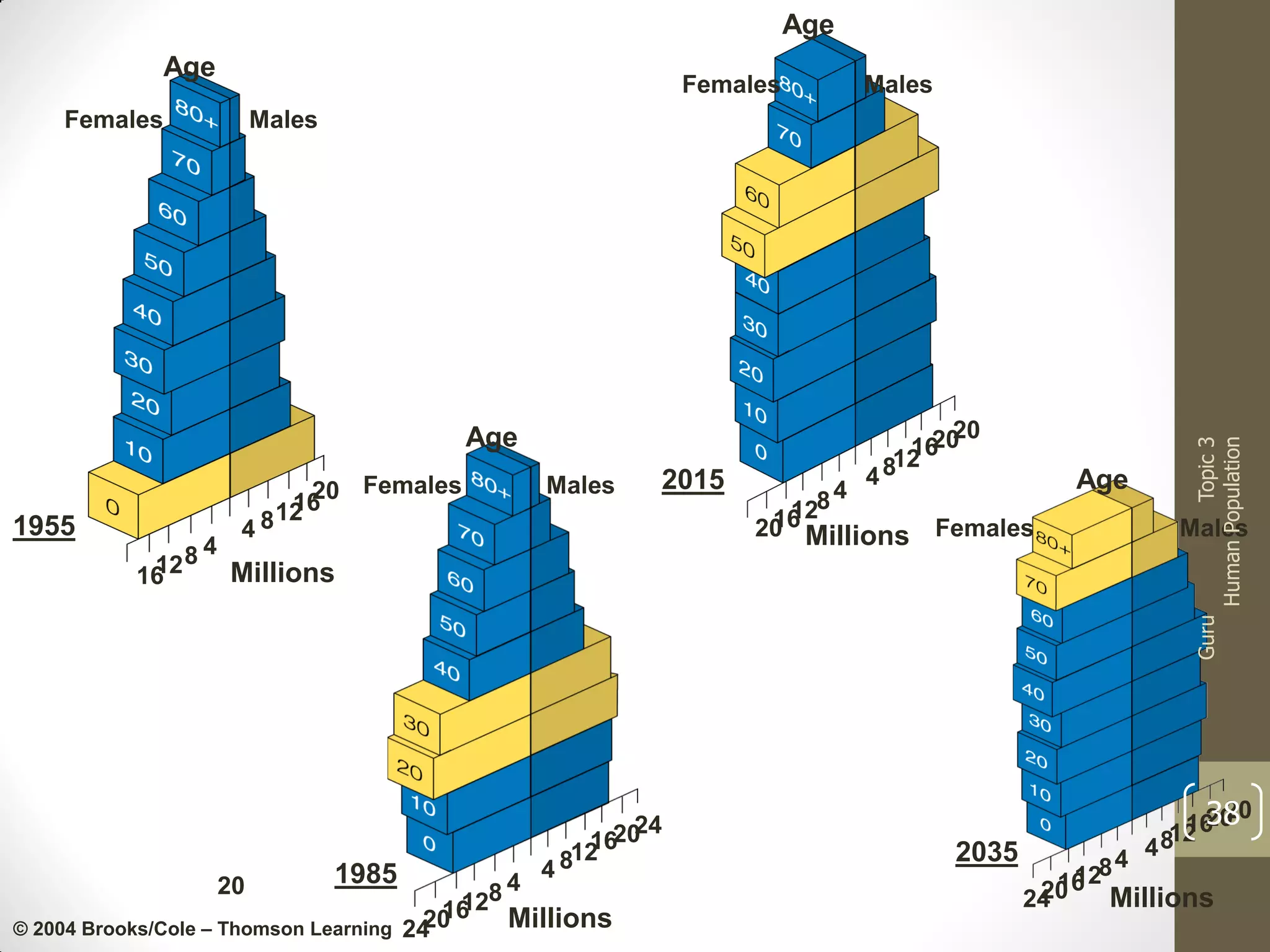Age
Age

Females
Males

Age
Males

2015

4
84
12
Millions
16

4
128
16
20 Millions

Age

Females

Males

Guru

1955

20 Females
16
8 12

20
20
16
12
48

Topic 3
Human Population

Females

Males

20

1985

© 2004 Brooks/Cole – Thomson Learning

24
1620
12
48

4
128
16
20
Millions
24

2035

20
38
20
16
12
48

4
128
16
20
Millions
24

 