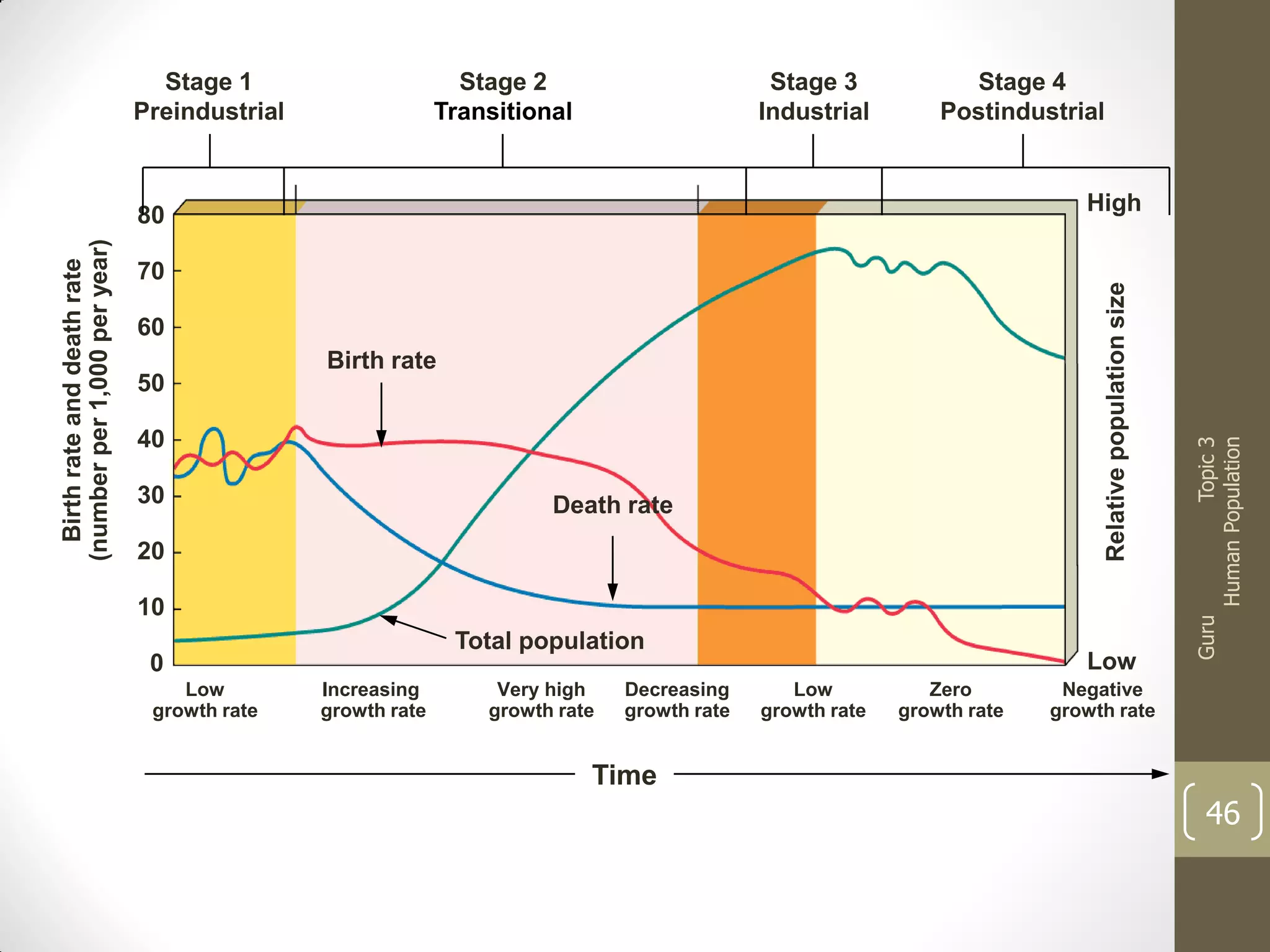 Stage 1
Preindustrial

Stage 2
Transitional

Stage 3
Industrial

Stage 4
Postindustrial

60
50

Birth rate

40
30

Death rate

20
10
Total population

0
Low
growth rate

Increasing
growth rate

Very high
growth rate

Decreasing
growth rate

Low
Low
growth rate

Zero
growth rate

Guru

Relative population size

Birth rate and death rate
(number per 1,000 per year)

70

Topic 3
Human Population

High

80

Negative
growth rate

Time

46

 