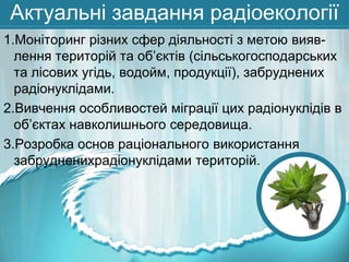 Актуальні завдання радіоекології
1.Моніторинг різних сфер діяльності з метою виявлення територій та об’єктів (сільськогосподарських
та лісових угідь, водойм, продукції), забруднених
радіонуклідами.
2.Вивчення особливостей міграції цих радіонуклідів в
об’єктах навколишнього середовища.
3.Розробка основ раціонального використання
забрудненихрадіонуклідами територій.

 