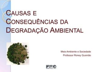 CAUSAS E
CONSEQUÊNCIAS DA
DEGRADAÇÃO AMBIENTAL
Meio Ambiente e Sociedade
Professor Roney Gusmão

 