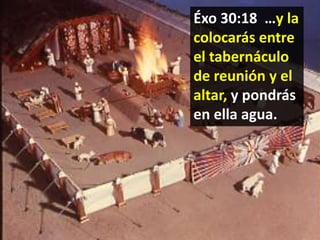 Éxo 30:18 …y la
colocarás entre
el tabernáculo
de reunión y el
altar, y pondrás
en ella agua.

 