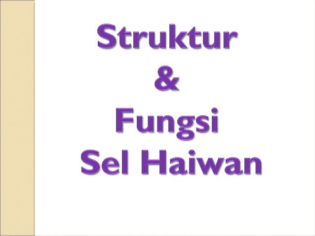 sel haiwan