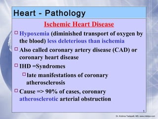 Heart - Pathology
Ischemic Heart Disease
 Hypoxemia (diminished transport of oxygen by
the blood) less deleterious than ischemia
 Also called coronary artery disease (CAD) or
coronary heart disease
 IHD =Syndromes
late manifestations of coronary
atherosclerosis
 Cause => 90% of cases, coronary
atherosclerotic arterial obstruction
1
Dr. Krishna Tadepalli, MD, www.mletips.com

 