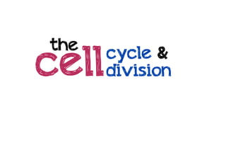 the

cell

cycle &
division

 