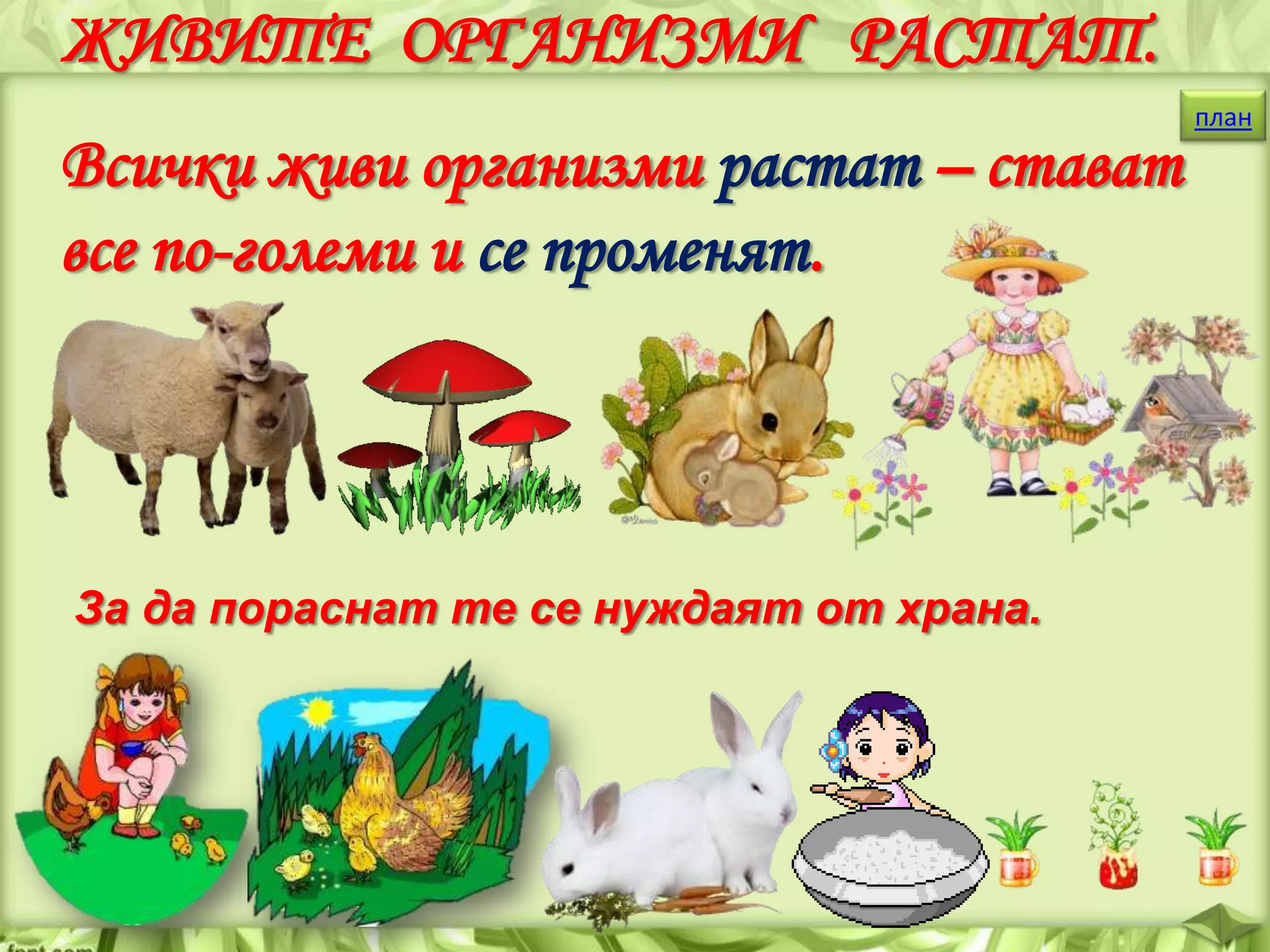 ЖИВИТЕ ОРГАНИЗМИ РАСТАТ.
Всички живи организми растат – стават
все по-големи и се променят.

За да пораснат те се нуждаят от храна.

план

 