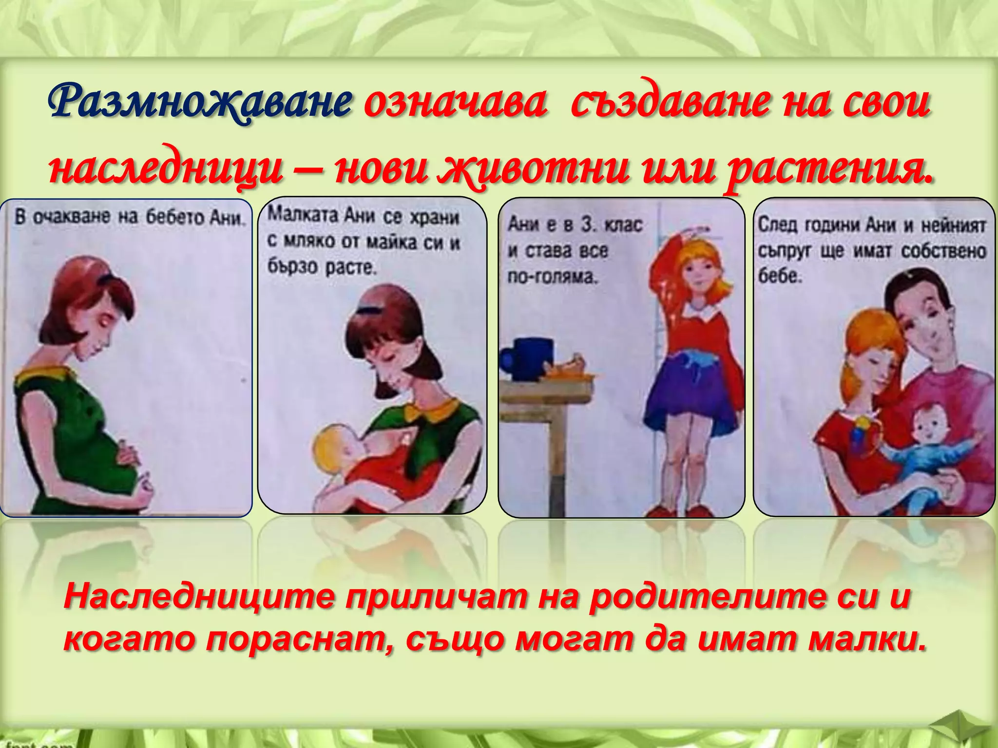 Живи организми - ЧП, 3 клас, Булвест | PPT
