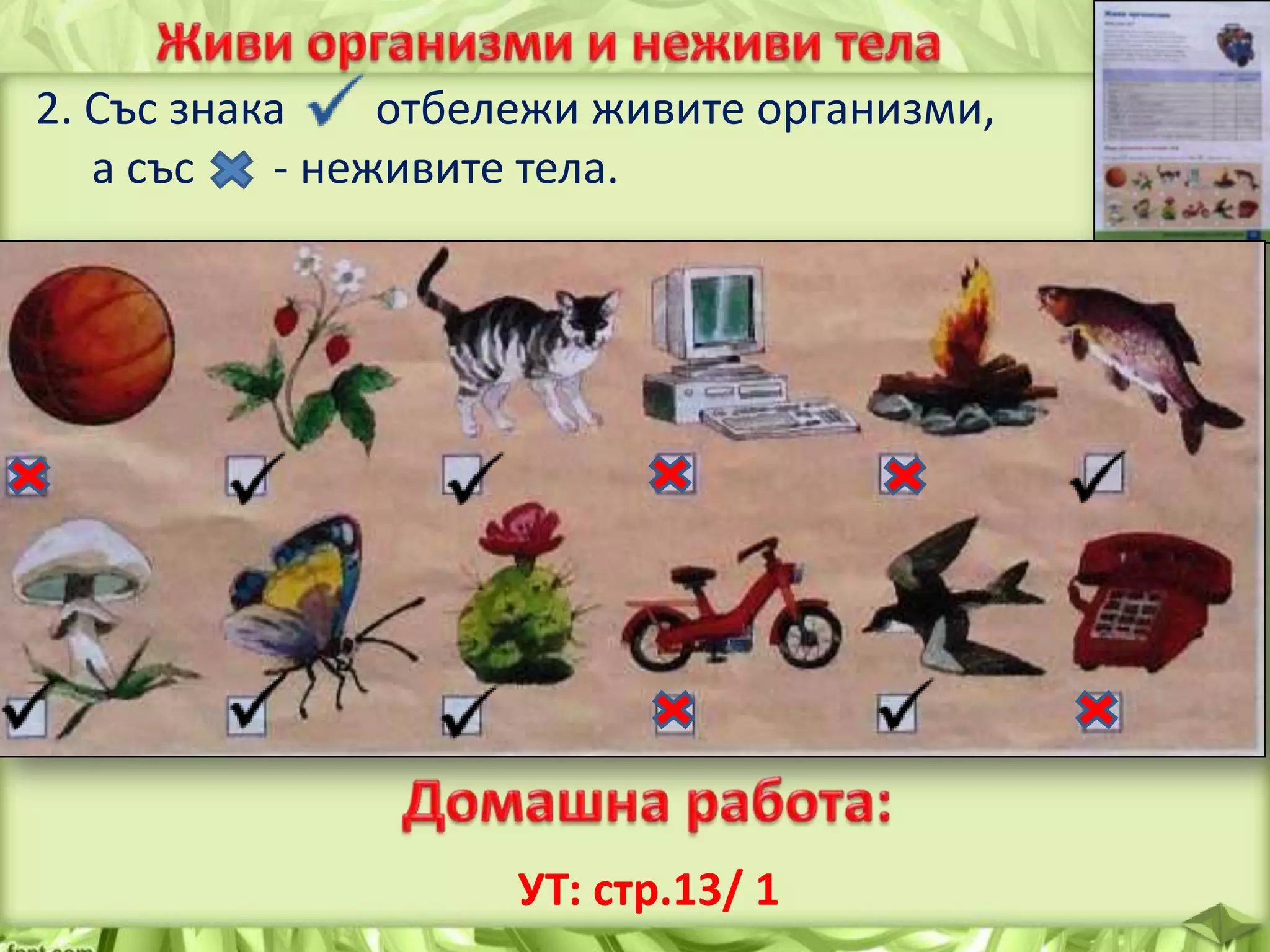 2. Със знака
отбележи живите организми,
а със
- неживите тела.

УТ: стр.13/ 1

 