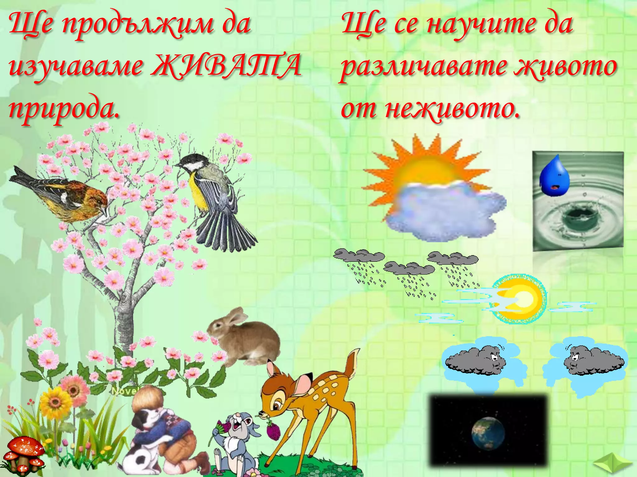 Ще продължим да
изучаваме ЖИВАТА
природа.

Ще се научите да
различавате живото
от неживото.

 