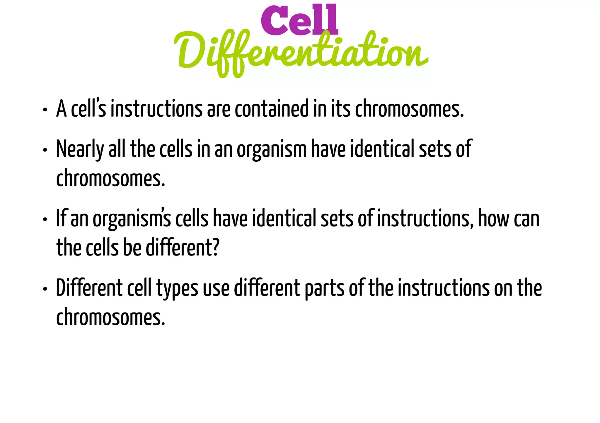 Cell
Differentiation
• A cell’s instructions are contained in its chromosomes.
• Nearly all the cells in an organism have identical sets of
chromosomes.
• If an organism’s cells have identical sets of instructions, how can
the cells be different?
• Different cell types use different parts of the instructions on the
chromosomes.

 