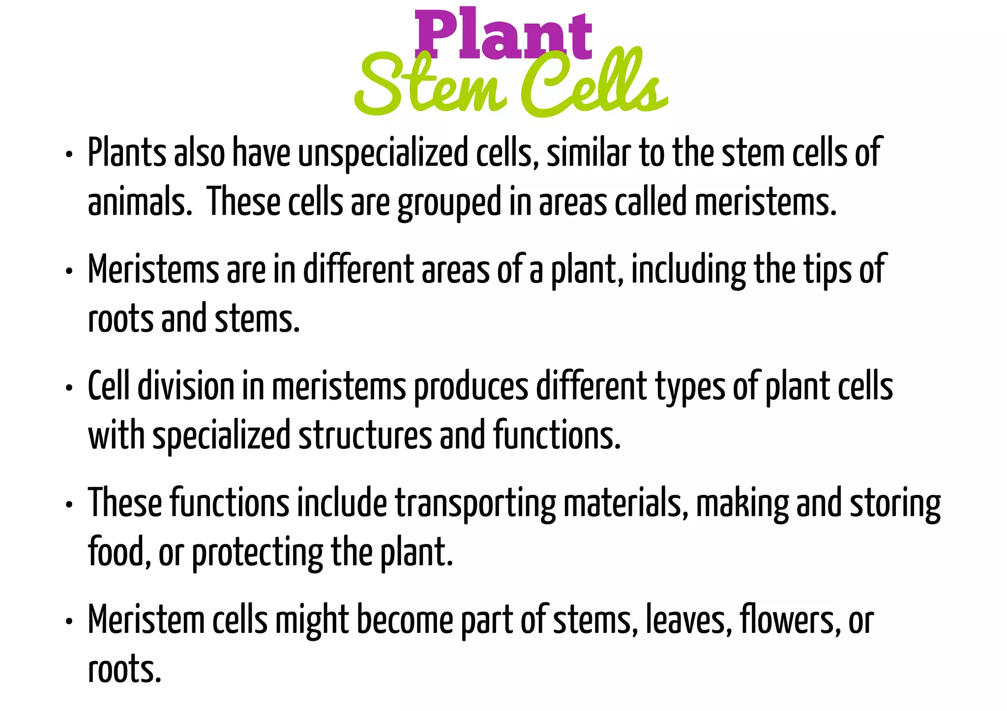 Plant
Stem Cells

• Plants also have unspecialized cells, similar to the stem cells of
animals. These cells are grouped in areas called meristems.
• Meristems are in different areas of a plant, including the tips of
roots and stems.
• Cell division in meristems produces different types of plant cells
with specialized structures and functions.
• These functions include transporting materials, making and storing
food, or protecting the plant.
• Meristem cells might become part of stems, leaves, flowers, or
roots.

 