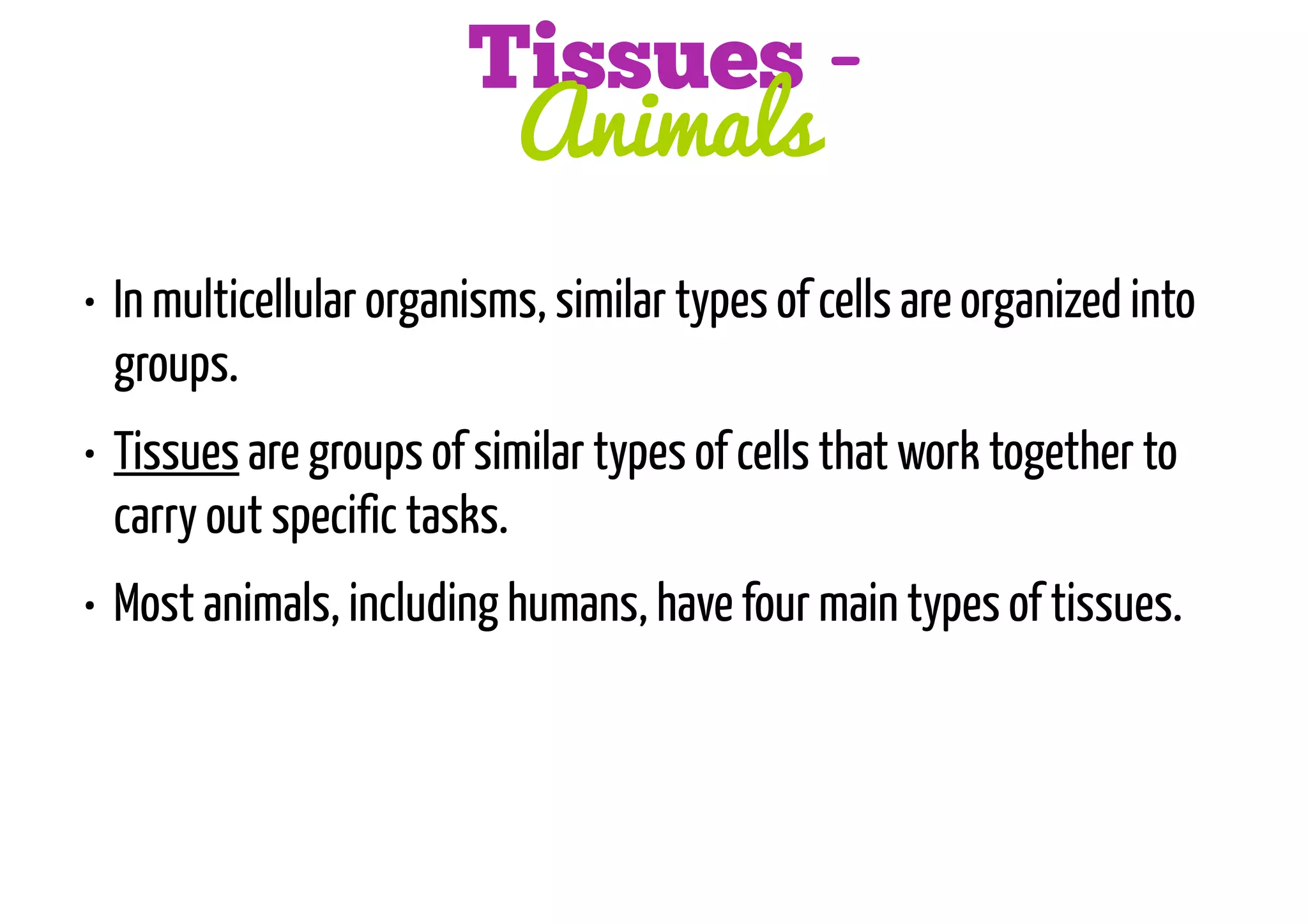 Tissues Animals
• In multicellular organisms, similar types of cells are organized into
groups.
• Tissues are groups of similar types of cells that work together to
carry out specific tasks.
• Most animals, including humans, have four main types of tissues.

 