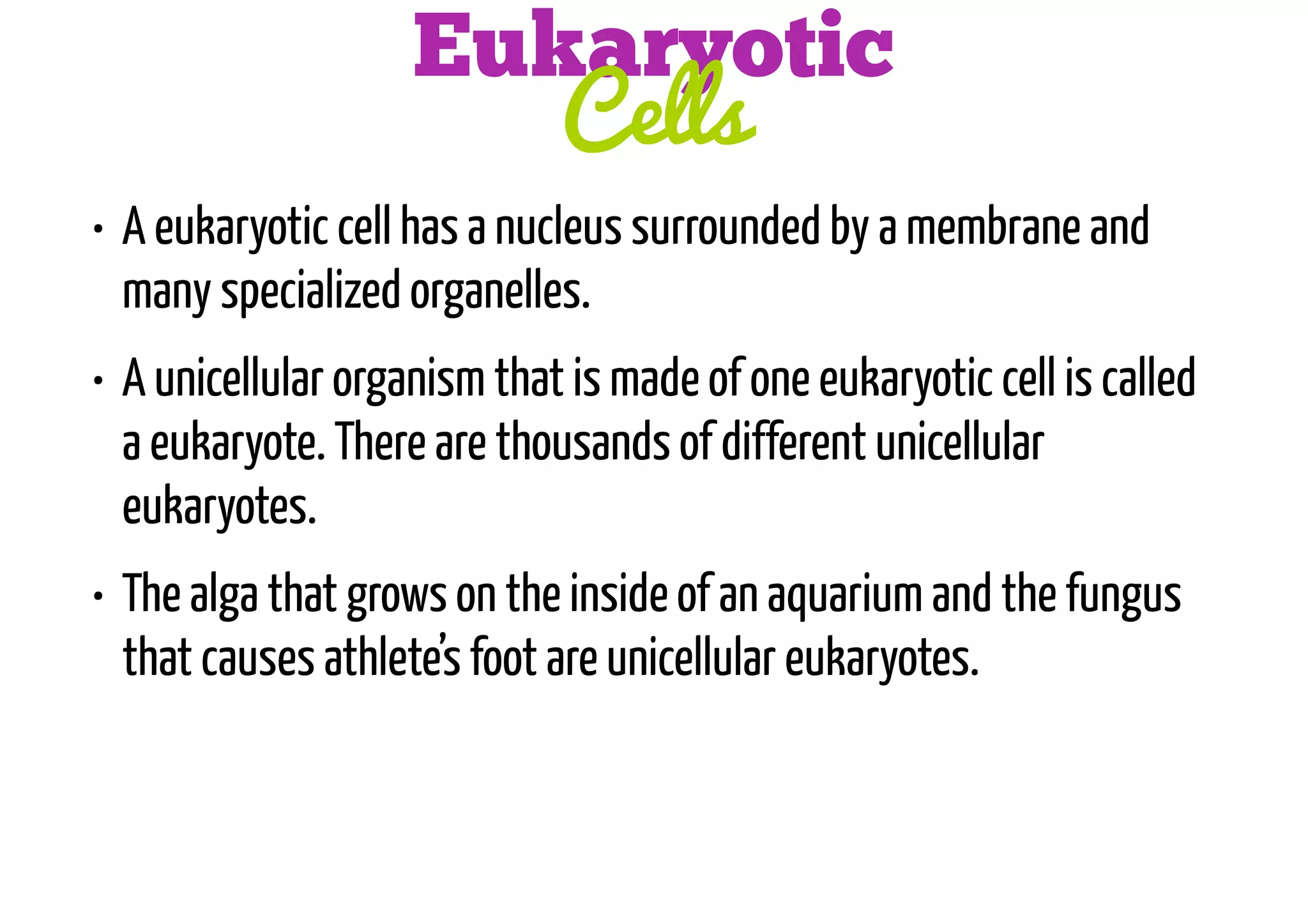 Eukaryotic
Cells
• A eukaryotic cell has a nucleus surrounded by a membrane and
many specialized organelles.
• A unicellular organism that is made of one eukaryotic cell is called
a eukaryote. There are thousands of different unicellular
eukaryotes.
• The alga that grows on the inside of an aquarium and the fungus
that causes athlete’s foot are unicellular eukaryotes.

 