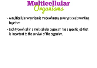 Multicellular
Organisms
• A multicellular organism is made of many eukaryotic cells working
together.
• Each type of cell in a multicellular organism has a specific job that
is important to the survival of the organism.

 
