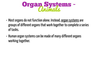 Organ Systems Animals
• Most organs do not function alone. Instead, organ systems are
groups of different organs that work together to complete a series
of tasks.
• Human organ systems can be made of many different organs
working together.

 