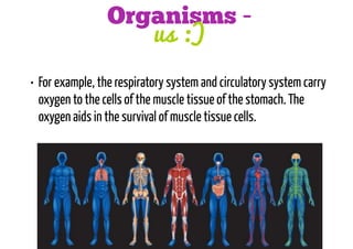 Organisms us :)
• For example, the respiratory system and circulatory system carry
oxygen to the cells of the muscle tissue of the stomach. The
oxygen aids in the survival of muscle tissue cells.

 