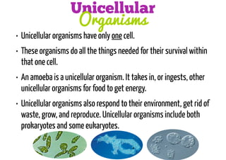 Unicellular
Organisms

• Unicellular organisms have only one cell.

• These organisms do all the things needed for their survival within
that one cell.
• An amoeba is a unicellular organism. It takes in, or ingests, other
unicellular organisms for food to get energy.
• Unicellular organisms also respond to their environment, get rid of
waste, grow, and reproduce. Unicellular organisms include both
prokaryotes and some eukaryotes.

 
