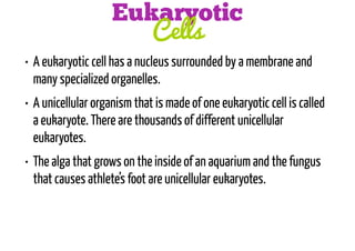 Eukaryotic
Cells
• A eukaryotic cell has a nucleus surrounded by a membrane and
many specialized organelles.
• A unicellular organism that is made of one eukaryotic cell is called
a eukaryote. There are thousands of different unicellular
eukaryotes.
• The alga that grows on the inside of an aquarium and the fungus
that causes athlete’s foot are unicellular eukaryotes.

 