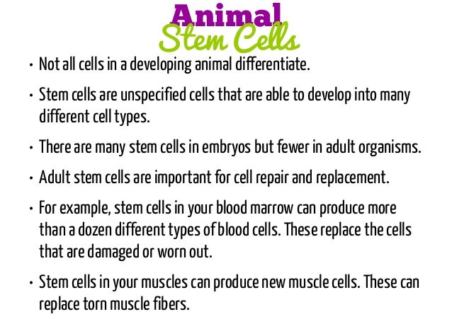 Levels of Organization (cell to organism)