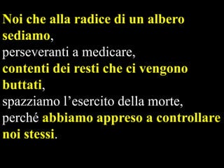 Noi che alla radice di un albero
sediamo,
perseveranti a medicare,
contenti dei resti che ci vengono
buttati,
spazziamo l’esercito della morte,
perché abbiamo appreso a controllare
noi stessi.

 