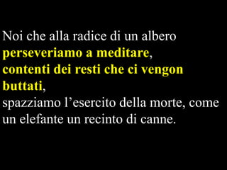 Noi che alla radice di un albero
perseveriamo a meditare,
contenti dei resti che ci vengon
buttati,
spazziamo l’esercito della morte, come
un elefante un recinto di canne.

 