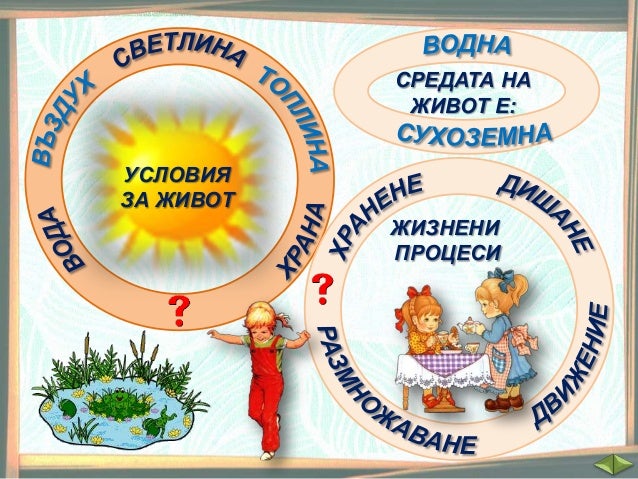 Групиране на живите организми - ЧП, 3 клас, Булвест