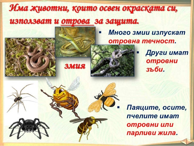 Как растенията и животните оцеляват - ЧП, 3 клас, Булвест