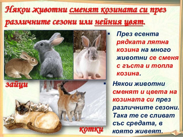 Как растенията и животните оцеляват - ЧП, 3 клас, Булвест