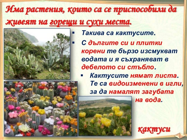 Как растенията и животните оцеляват - ЧП, 3 клас, Булвест