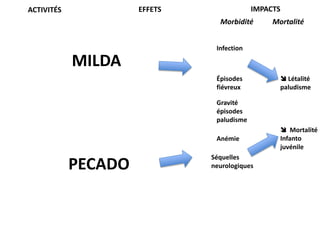 IMPACTS

EFFETS

ACTIVITÉS

Morbidité

MILDA

Mortalité

Infection

Épisodes
fiévreux

 Létalité
paludisme

Gravité
épisodes
paludisme
Anémie

PECADO

Séquelles
neurologiques

 Mortalité
Infanto
juvénile

 