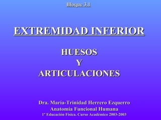 Bloque 3.1

EXTREMIDAD INFERIOR
HUESOS
Y
ARTICULACIONES
Dra. María-Trinidad Herrero Ezquerro
Anatomía Funcional Humana
1º Educación Física. Curso Académico 2003-2003

 
