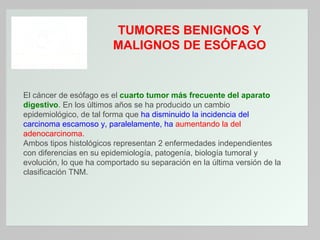 TUMORES BENIGNOS Y
MALIGNOS DE ESÓFAGO

El cáncer de esófago es el cuarto tumor más frecuente del aparato
digestivo. En los últimos años se ha producido un cambio
epidemiológico, de tal forma que ha disminuido la incidencia del
carcinoma escamoso y, paralelamente, ha aumentando la del
adenocarcinoma.
Ambos tipos histológicos representan 2 enfermedades independientes
con diferencias en su epidemiología, patogenía, biología tumoral y
evolución, lo que ha comportado su separación en la última versión de la
clasificación TNM.

 
