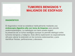 TUMORES BENIGNOS Y
MALIGNOS DE ESÓFAGO
DIAGNÓSTICO
El diagnóstico inicial se establece habitualmente mediante una
endoscopia digestiva alta con toma de biopsias para estudio
anatomopatológico. La radiología con bario puede sugerir
la presencia de un tumor esofágico aunque no permite distinguir entre
tumores benignos y malignos. Esta última exploración es especialmente
útil para valorar la extensión en los tumores estenosantes y para
identificar fístulas, perforaciones y abscesos.

 