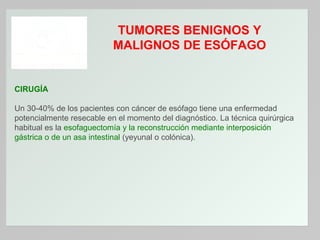 TUMORES BENIGNOS Y
MALIGNOS DE ESÓFAGO

CIRUGÍA
Un 30-40% de los pacientes con cáncer de esófago tiene una enfermedad
potencialmente resecable en el momento del diagnóstico. La técnica quirúrgica
habitual es la esofaguectomía y la reconstrucción mediante interposición
gástrica o de un asa intestinal (yeyunal o colónica).

 