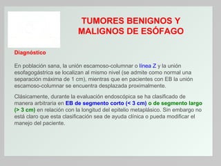 TUMORES BENIGNOS Y
MALIGNOS DE ESÓFAGO
Diagnóstico
En población sana, la unión escamoso-columnar o línea Z y la unión
esofagogástrica se localizan al mismo nivel (se admite como normal una
separación máxima de 1 cm), mientras que en pacientes con EB la unión
escamoso-columnar se encuentra desplazada proximalmente.
Clásicamente, durante la evaluación endoscópica se ha clasificado de
manera arbitraria en EB de segmento corto (< 3 cm) o de segmento largo
(> 3 cm) en relación con la longitud del epitelio metaplásico. Sin embargo no
está claro que esta clasificación sea de ayuda clínica o pueda modificar el
manejo del paciente.

 