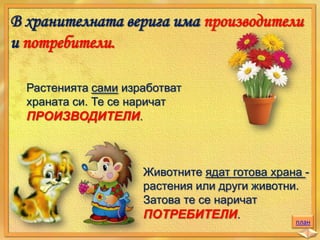 В хранителната верига има производители
и потребители.
Растенията сами изработват
храната си. Те се наричат
ПРОИЗВОДИТЕЛИ.

Животните ядат готова храна растения или други животни.
Затова те се наричат
ПОТРЕБИТЕЛИ.

план

 