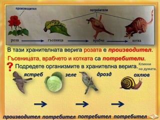 В тази хранителната верига розата е производител.
Гъсеницата, врабчето и котката са потребители.
Подредете организмите в хранителна верига. Кликни
на думата.
дрозд
ястреб
зеле
охлюв

производител потребител потребител потребител

 