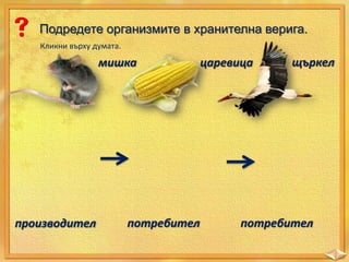 Подредете организмите в хранителна верига.
Кликни върху думата.

мишка

производител

потребител

царевица

щъркел

потребител

 