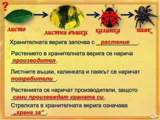 листо

листни въшки

калинка

паяк

растение
Хранителната верига започва с _____________.
Растението в хранителната верига се нарича
______________.
производител
Листните въшки, калинката и паякът се наричат
______________.
потребители
Растенията се наричат производители, защото
_____________________________.
сами произвеждат храната си
Стрелката в хранителната верига означава
___________.
„храна за“

 