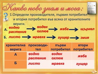 1.Определи производителя, първия потребител
и втория потребител във всяка от хранителните
вериги.

водно
А.
растение
Б. листо

воден
охлюв

мравка

жаба
гущер

щъркел
змия

хранителна производипърви
втори
верига
тел
потребител потребител
воден
водно
А
жаба
охлюв
растение
Б
листо
мравка
гущер

 