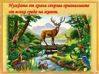 Нуждата от храна свързва организмите
от всяка среда на живот.

 
