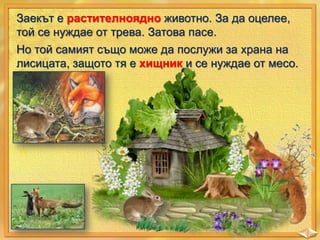 Заекът е растителноядно животно. За да оцелее,
той се нуждае от трева. Затова пасе.
Но той самият също може да послужи за храна на
лисицата, защото тя е хищник и се нуждае от месо.

 