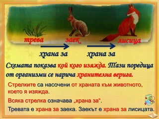 трева

заек

храна за

лисица

храна за

Схемата показва кой кого изяжда. Тази поредица
от организми се нарича хранителна верига.
Стрелките са насочени от храната към животното,
което я изяжда.

Всяка стрелка означава „храна за“.
Тревата е храна за заека. Заекът е храна за лисицата.

 