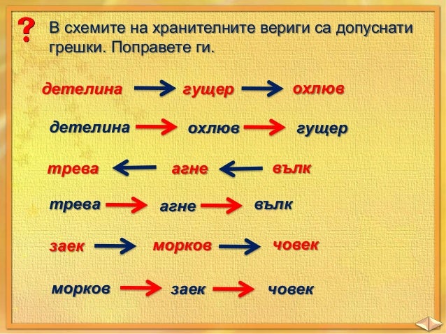 Кой кого изяжда - ЧП, 3 клас, Булвест