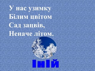 У нас узимку
Білим цвітом
Сад зацвів,
Неначе літом.

 